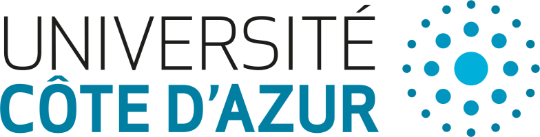 LMS UCA 2020/2021